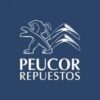 Óptica derecha Peugeot 207 - Imagen 2