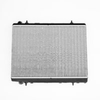 Radiador Peugeot 307, 407, 308, 408 Citroen C4, C4 Picasso