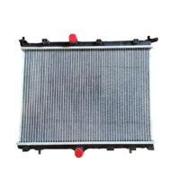Radiador de Agua Brazado Peugeot 208